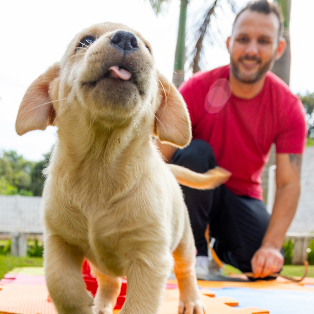 João Marcel Camargo agachado, sorrindo, com um filhote de labrador em primeiro plano